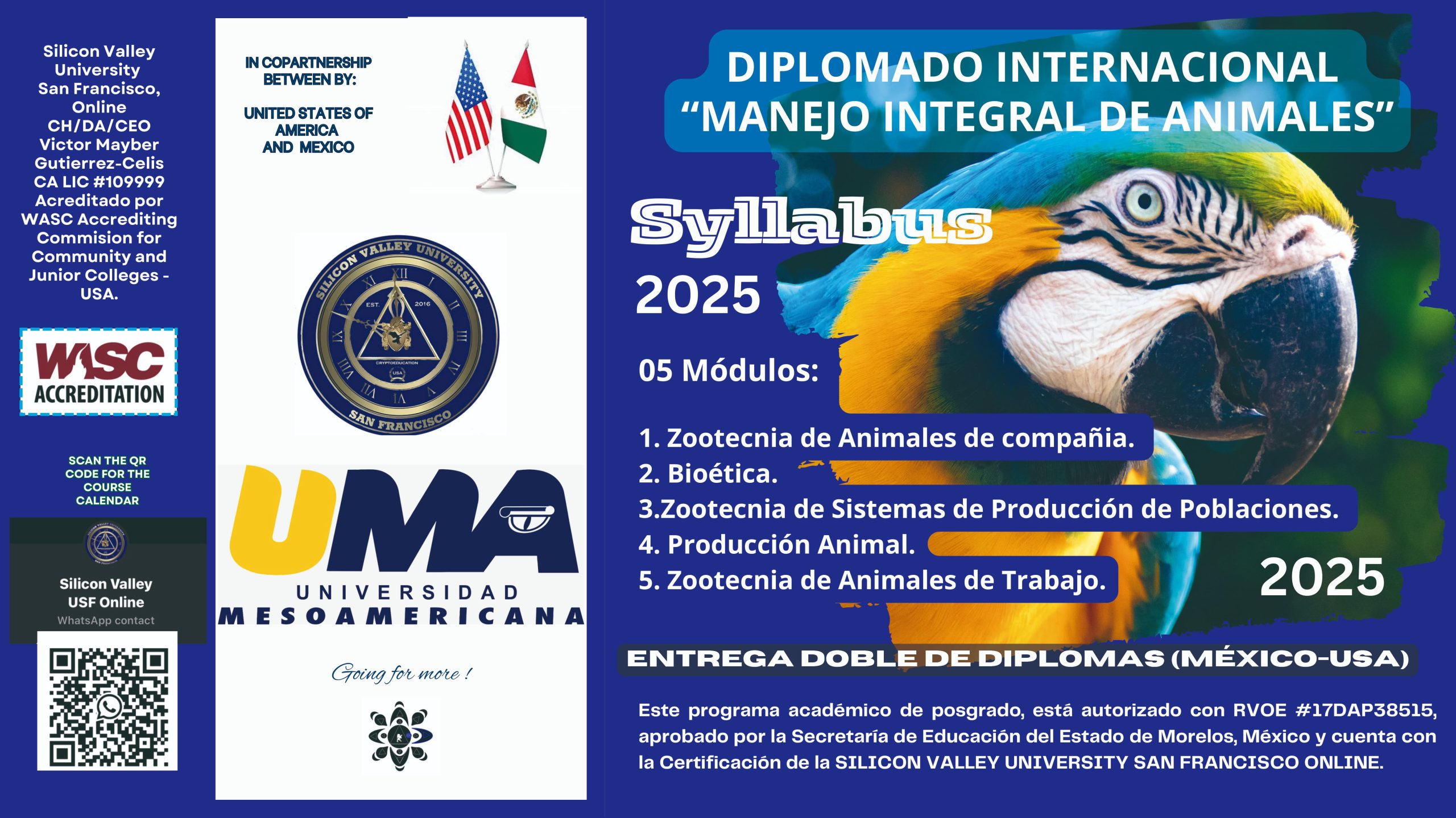 Protected: INTERNATIONAL DIPLOMA IN INTEGRAL ANIMAL MANAGEMENT