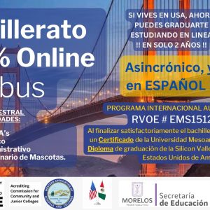 BACHELOR DEGREE PROGRAMS