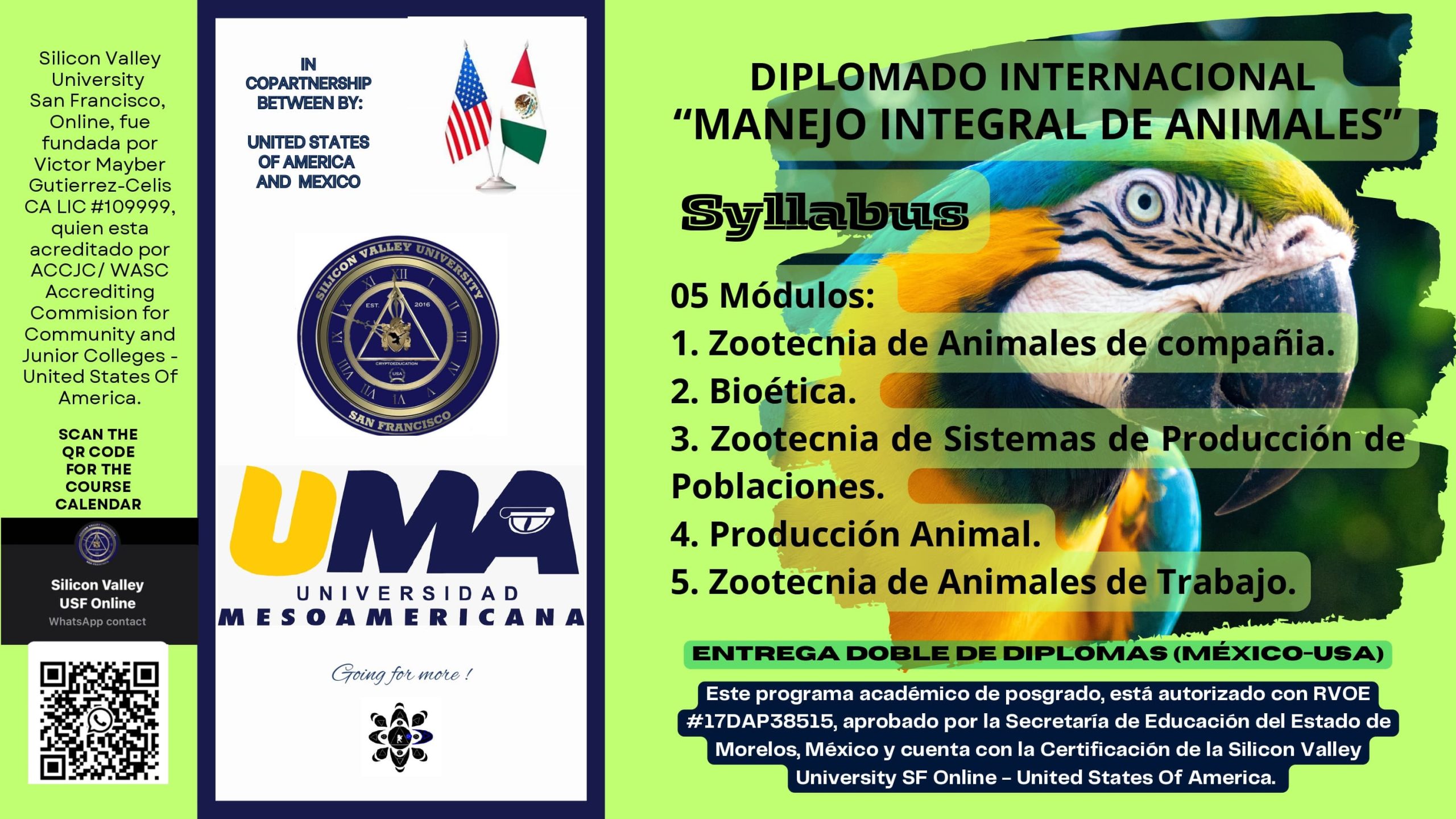 Protected: INTERNATIONAL DIPLOMA IN INTEGRAL ANIMAL MANAGEMENT